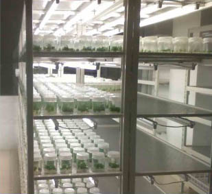 美順達培養架、樣品架展示